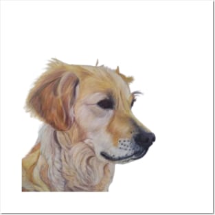 Golden Retriever Posters and Art